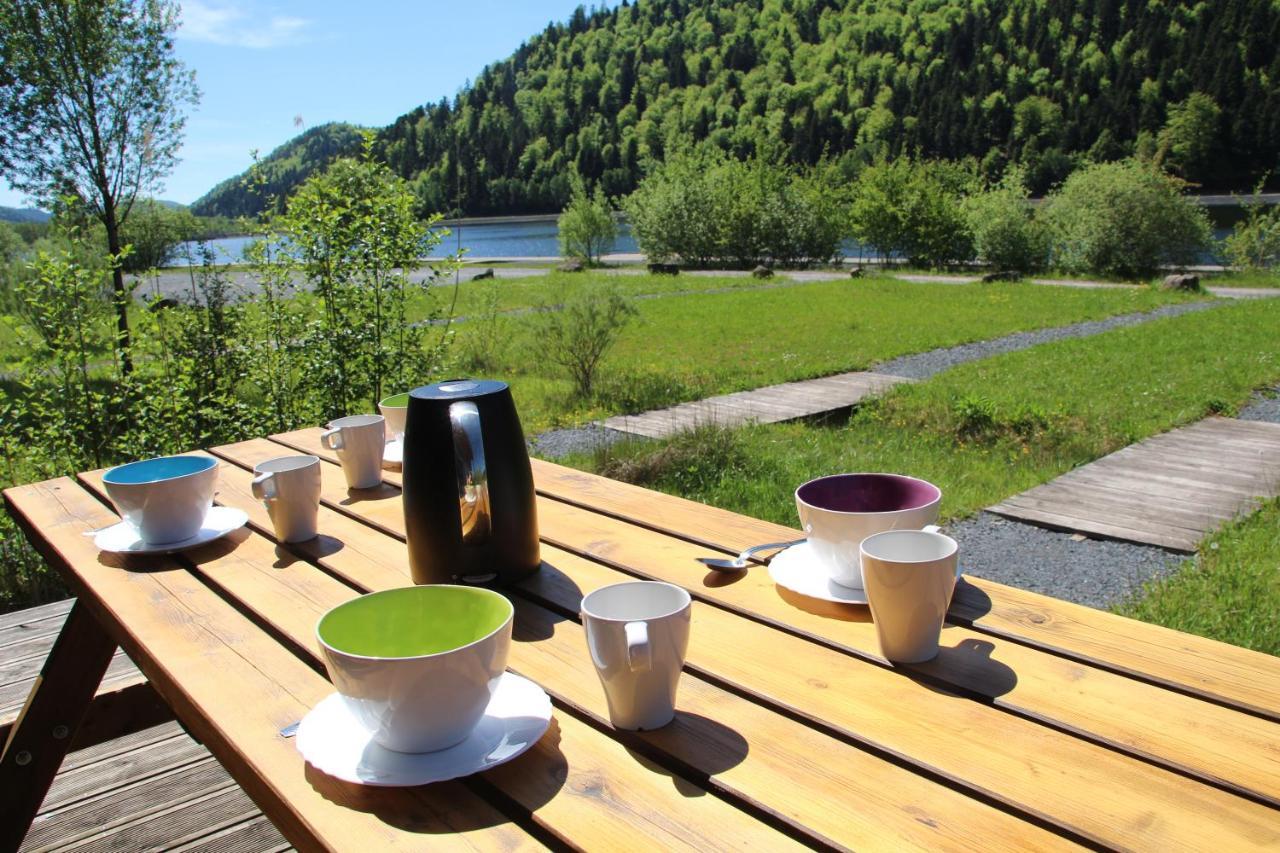 Camping Des Lacs*** Villa Celles-sur-Plaine Buitenkant foto